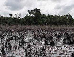 Two Turks kidnapped in Nigeria freed: Police