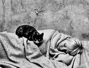 Roger Ballen Retrospective at Istanbul Modern