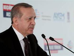 Turkey was told not to go further than 20 kms into Syria: Erdoğan