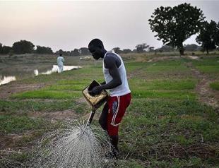 Antalya to host agriculture forum with African minister