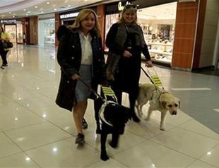 Turkey’s Changemakers: Guide Dogs Association
