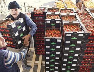 Ankara announces ambitious measures in bid to ease skyrocketing food prices