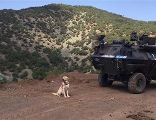 Turkish soldiers apprehend PKK militant responsible for attacks