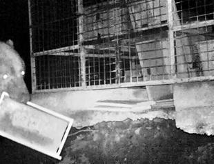 Trabzon the site of epic Man vs Bear battle