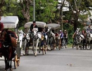 17 people detained in operation against ‘carriage gang’ on Istanbul’s Büyükada