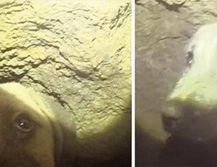 Efforts to rescue puppy stuck in Istanbul well continue on 9th day