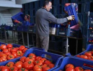 Russia, Turkey agree on everything except tomatoes