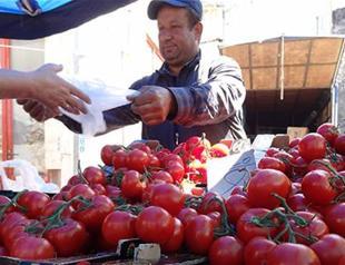 No problem in Turkey’s tomato exports to Iraq: Ministry