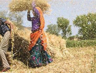 Indian state writes off farm loans to end protests