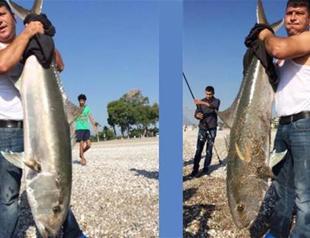 Fishermen release 30-kilogram fish into sea to protect nature in Turkey’s Antalya