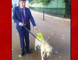 Guide dog of visually impaired advisor to CHP deputy not allowed into Turkish Parliament