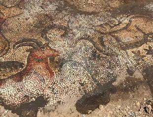 1,600-year-old mosaic found in Turkey’s Adıyaman
