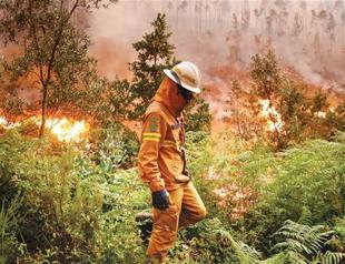 Portugal mourns amid battle against wildfires