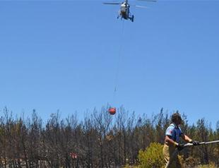 Two decares of forests destroyed by fire in Turkey’s Ayvalık
