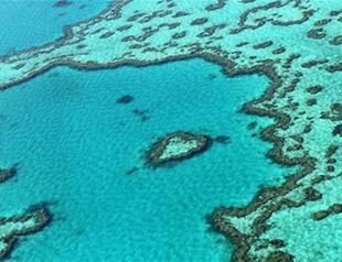 Great Barrier Reef a $42 billion asset ‘too big to fail’
