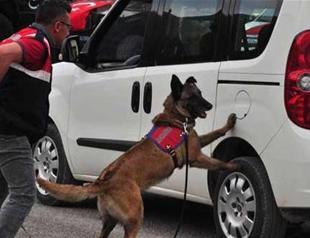 Turkey to set up ‘rehabilitation villages’ for drug addicts