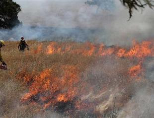 Thousands flee wildfires in California