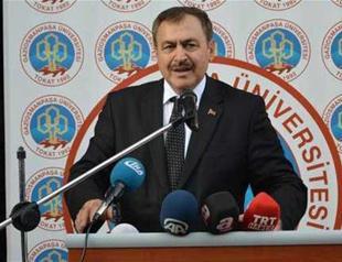 New law will give jail terms to animal torturers: Turkish minister