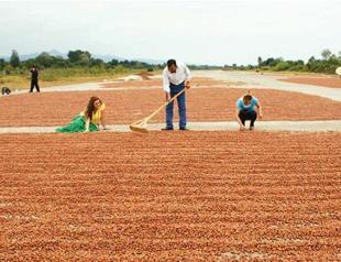Gov’t to build three new airports in Anatolian provinces