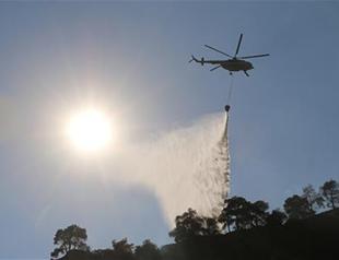 50 decares of olive grove destroyed by fire in Turkey’s Aydın