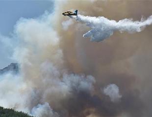 Over 500 hectares burnt as forest fire rages for second day in Turkey’s İzmir