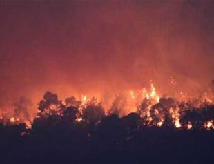 All 147 forest fires over past three days now under control: Minister