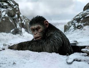 Gorilla warfare: Behind the visuals of ‘Planet of the Apes’