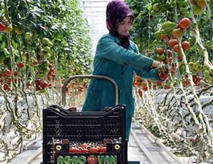 Gov’t offers deadline on severance payment to submit final proposals