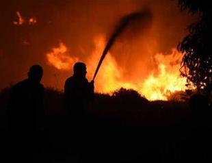 20 hectares of forest lands reduced to ash in Turkish resort Bodrum