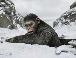 ‘Apes’ swings to top of US box office