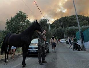 Locals join firefighters battling French blazes