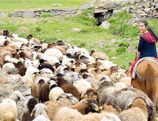 Children from impoverished rural regions succeed in Turkish high school entrance exam again