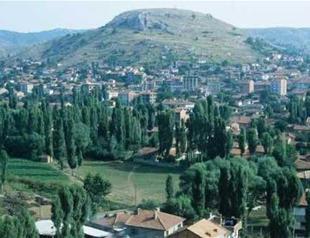 Panic rises after hunting of dogs by ‘mysterious creature’ in village of Turkey’s Bilecik