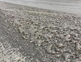 Driver detained after lorry poured 4 tons of hydrochloric acid on road in Turkey’s Tekirdağ