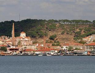 An outstanding olive landscape