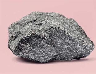 ‘The Idiot’ by Elif Batuman