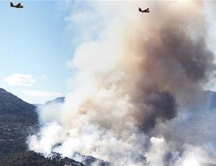 Fires destroy 1,400 hectares of forest in southern France