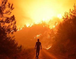 Fire erupts over 250 hectares of forest lands in Turkey’s west