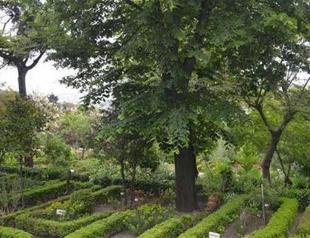 Allocation of botanical garden to top religious body stirs debate