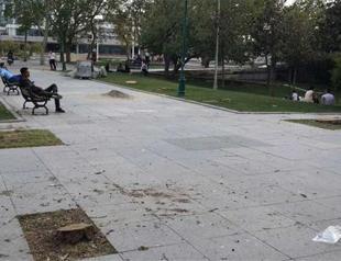 Main opposition deputy shares photos of cut-down trees from Taksim’s symbolic Gezi Park