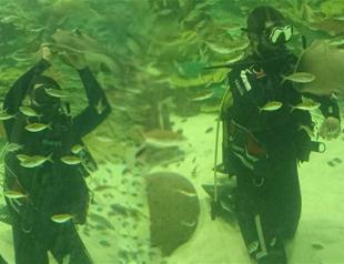 Aquarist bitten by thornback ray dismissed from job in Istanbul