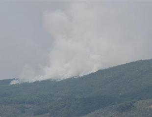 Arson suspected in new forest fires on Mount Ida