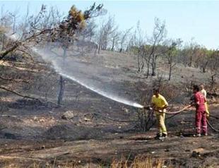 Arson suspected in massive forest fire near touristic Ayvalık in western Turkey