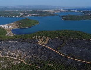 Burned forest land in Turkey’s touristic Ayvalık to be reforested: General Directorate of Forestry