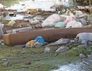 Poison flows in Ergene River due to industrial waste mixing in Turkey’s west