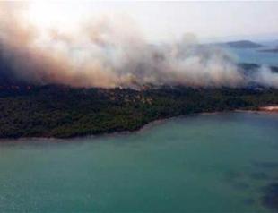 Three hectares of forest reduced to ash in fire near touristic Ayvalık in western Turkey
