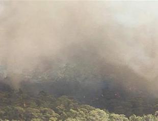 Forest fire destroys 10 decares of land in Turkey’s touristic Fethiye district
