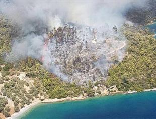 Eight hectares of forest land damaged in fire in Turkey’s Muğla