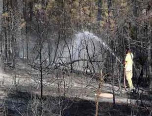 Fire burns 100 hectares of forest in Turkey’s Bolu to ash