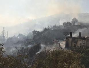 Forest fire breaks out in Turkey’s Muğla, neighborhood evacuated